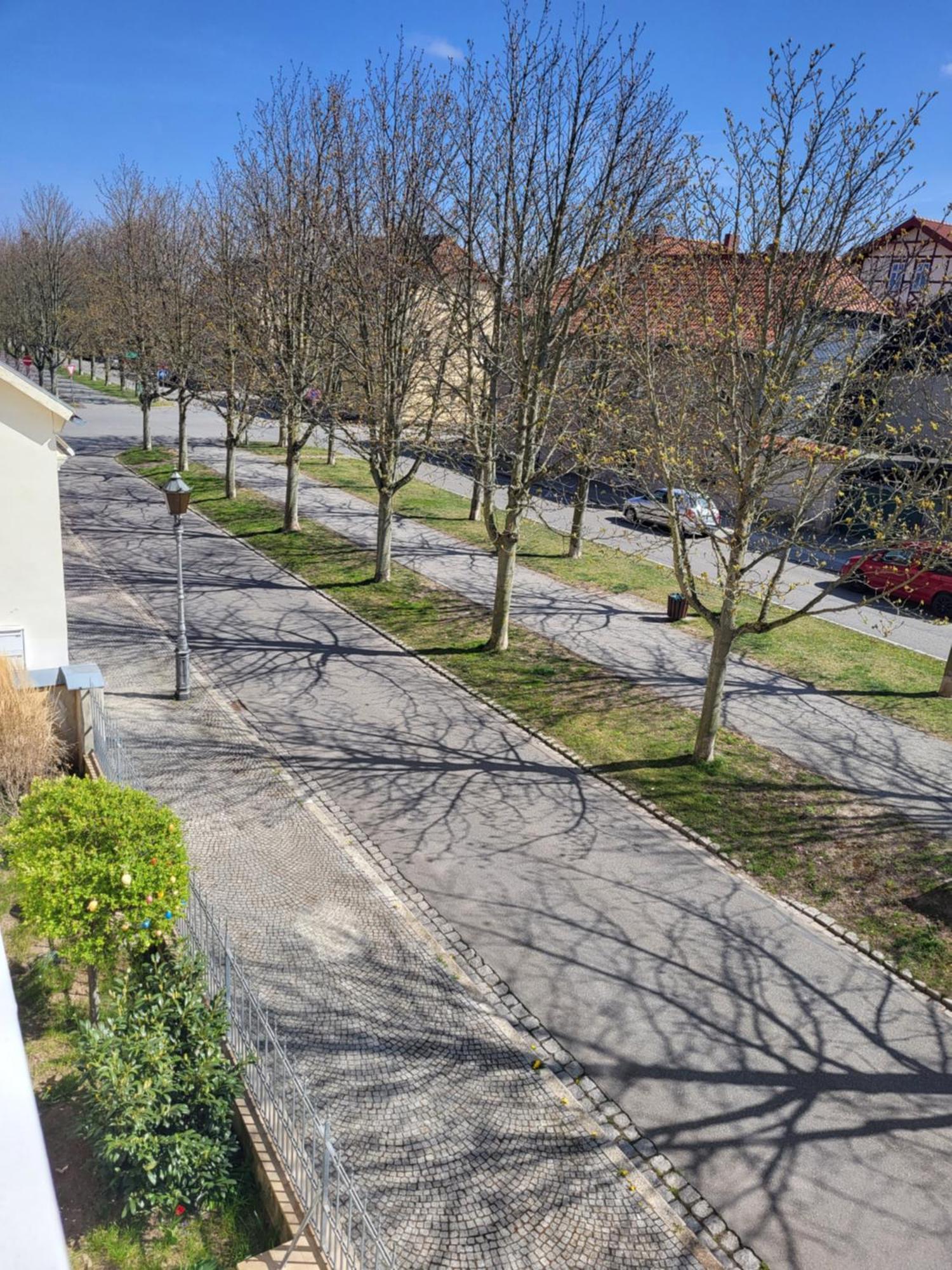 Alleeblick Ballenstedt Exterior photo